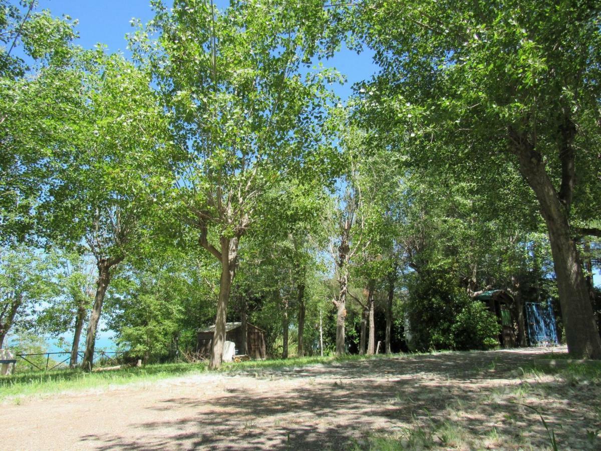 Torre Mucchia Ortona