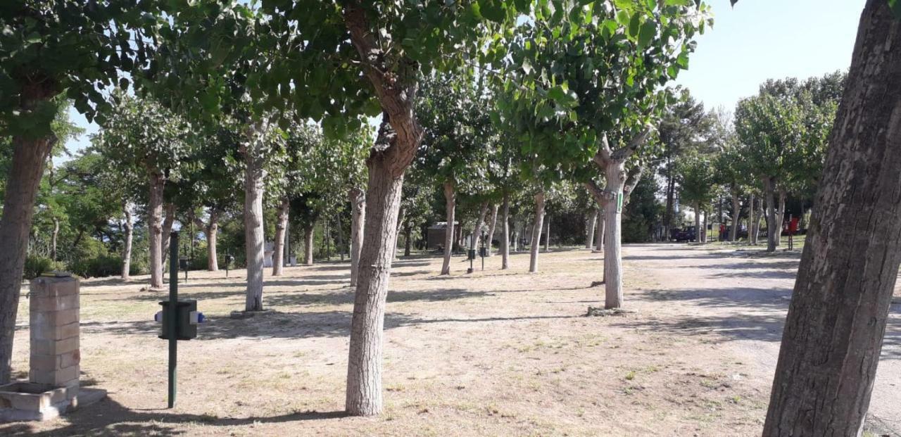 Torre Mucchia Camping *